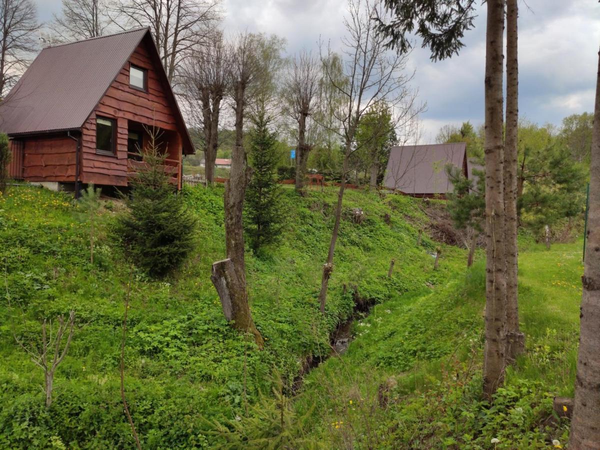 Za Potokiem Villa Solina  Dış mekan fotoğraf