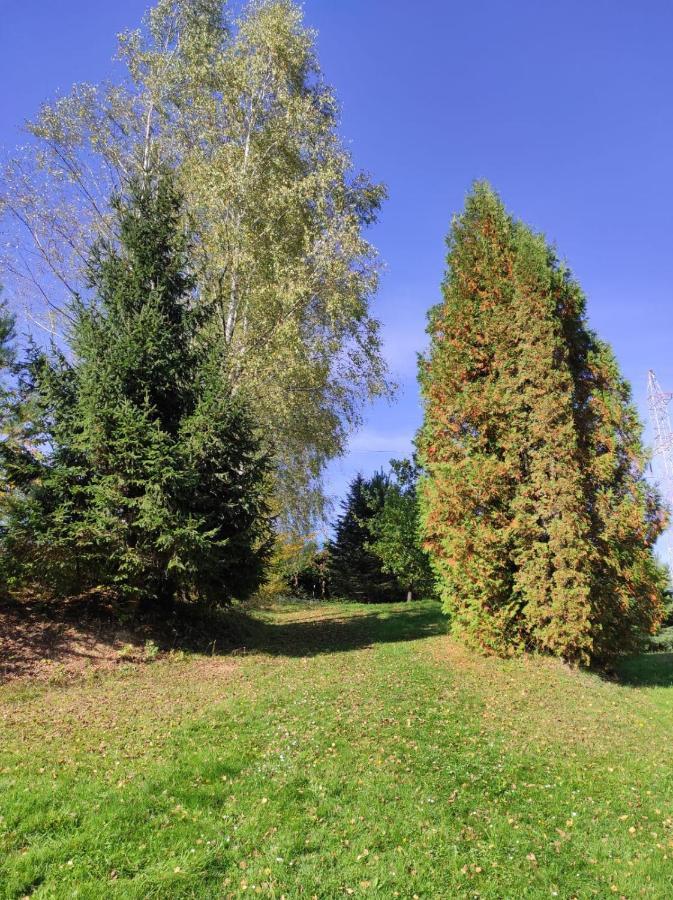Za Potokiem Villa Solina  Dış mekan fotoğraf