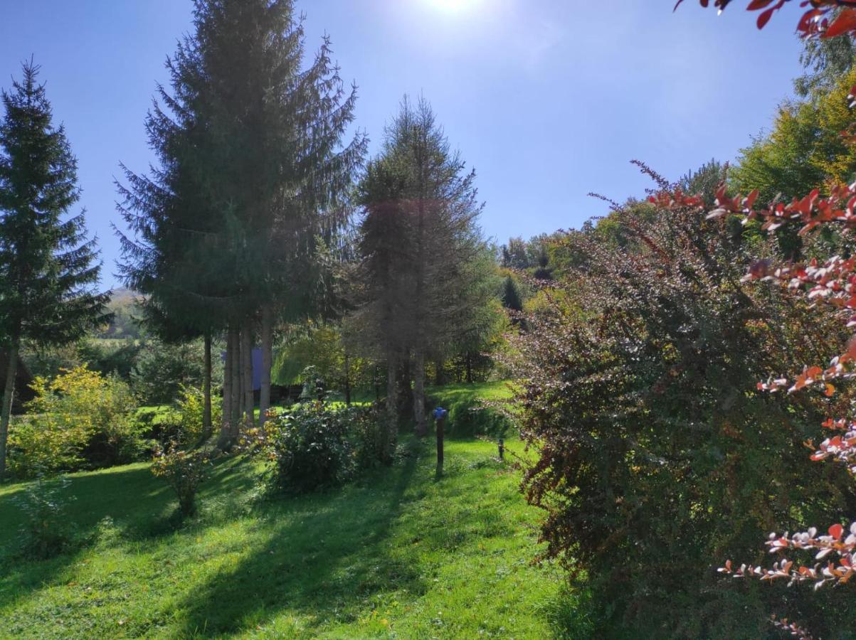 Za Potokiem Villa Solina  Dış mekan fotoğraf