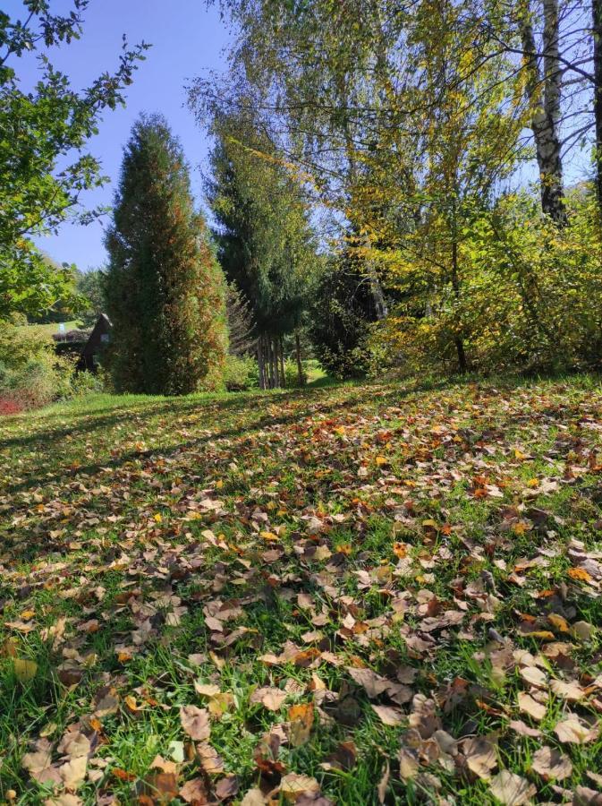 Za Potokiem Villa Solina  Dış mekan fotoğraf