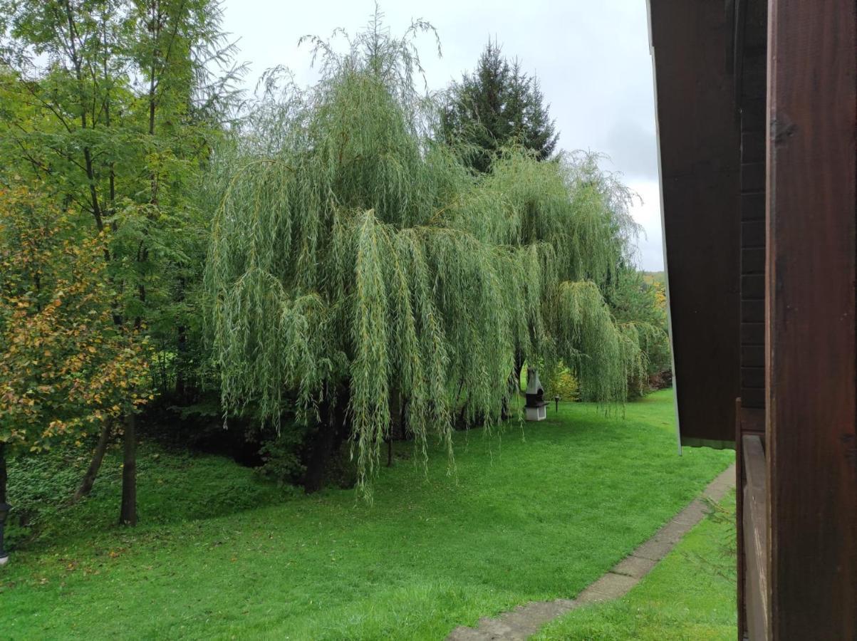 Za Potokiem Villa Solina  Dış mekan fotoğraf