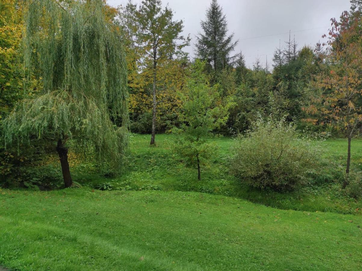 Za Potokiem Villa Solina  Dış mekan fotoğraf