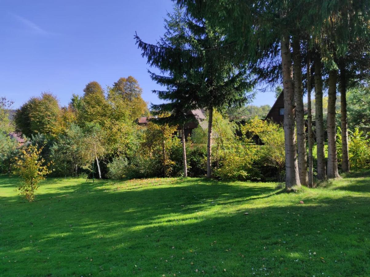 Za Potokiem Villa Solina  Dış mekan fotoğraf