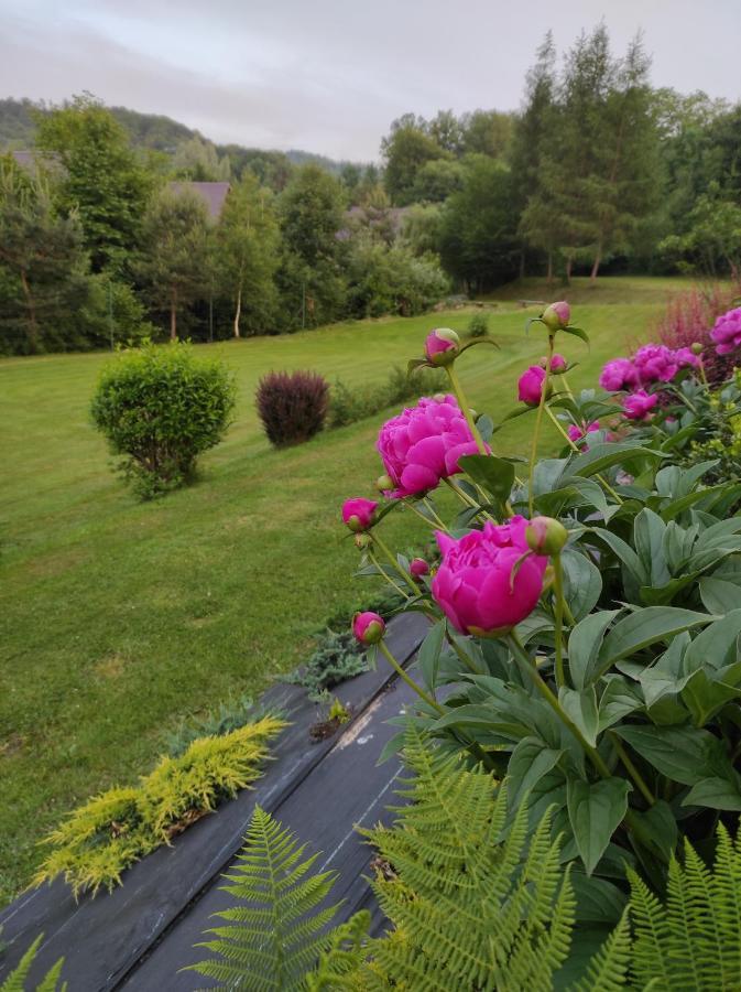 Za Potokiem Villa Solina  Dış mekan fotoğraf