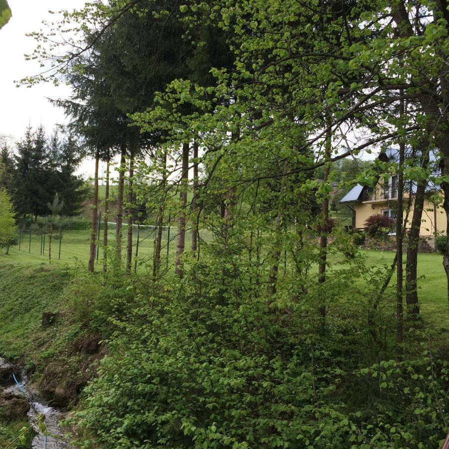 Za Potokiem Villa Solina  Dış mekan fotoğraf