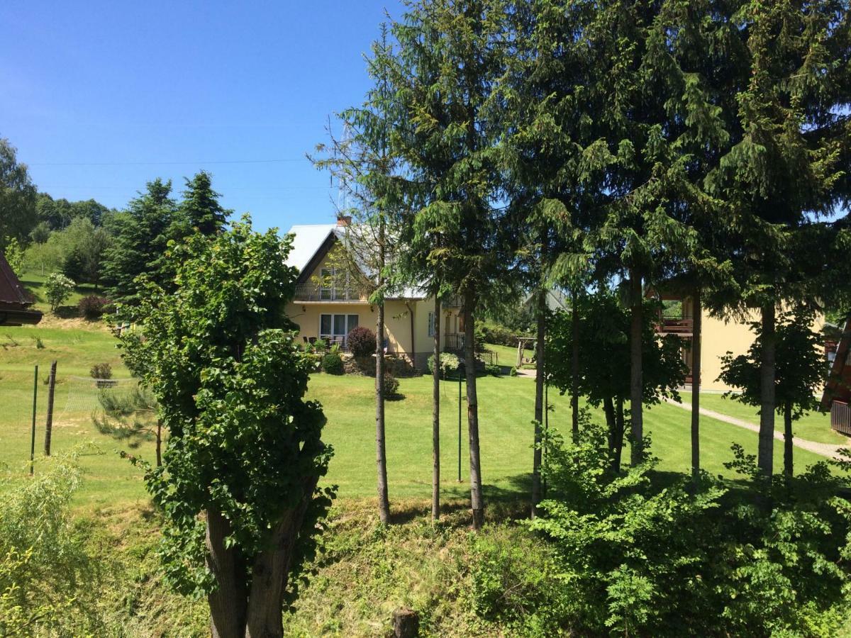 Za Potokiem Villa Solina  Dış mekan fotoğraf