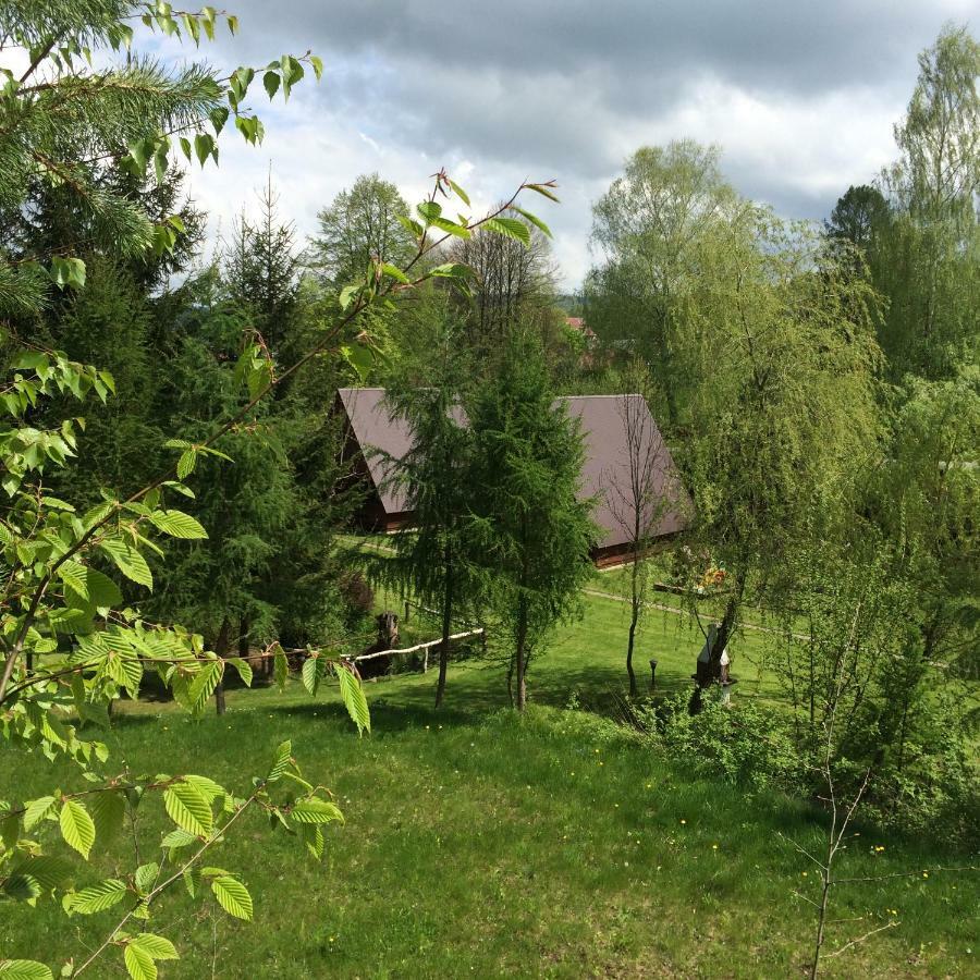 Za Potokiem Villa Solina  Dış mekan fotoğraf